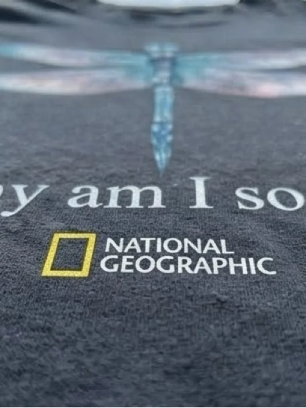 National Geographic Men’s Black Tee with Blue‑Teal Dragonfly Graphic